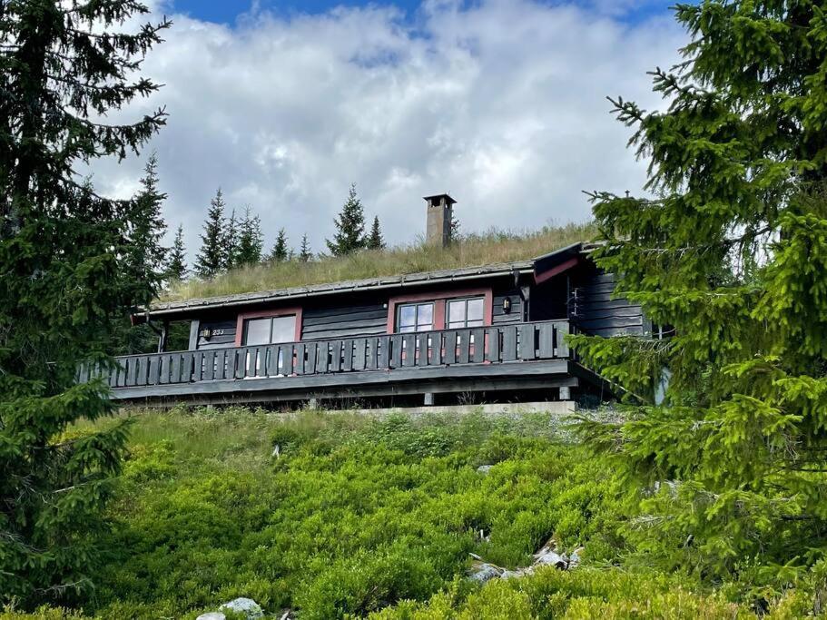 Centrally Located Cottage At Sjusjoen Ski Center Exterior photo